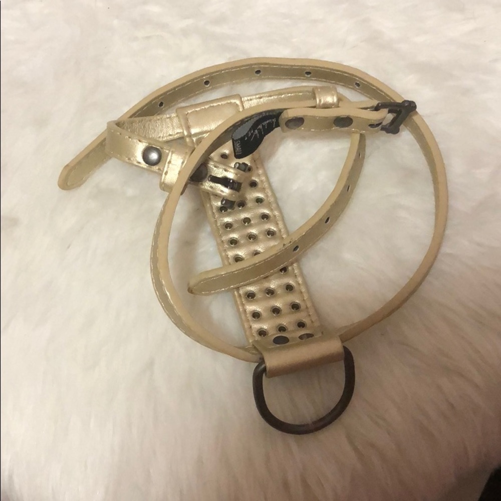 harness - Picture 2 of 5
